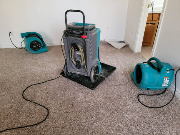 Best Commercial water damage restoration  in Homedale, ID