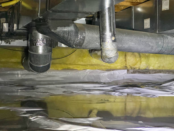 Best Local water damage restoration  in Homedale, ID