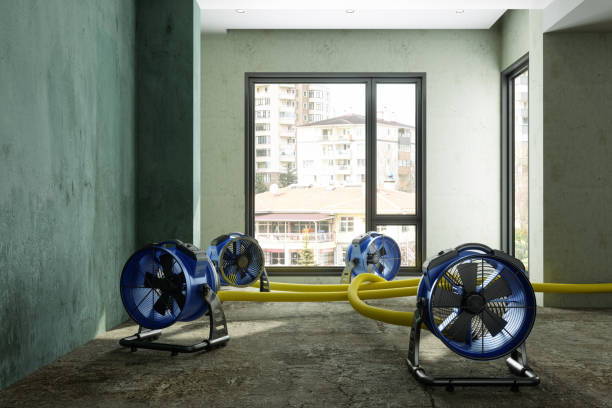 Best Flood restoration services  in Homedale, ID